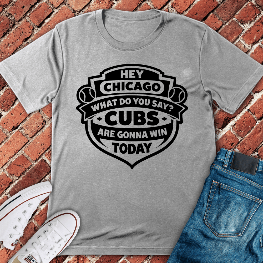 Hey Chicago Cubs T-Shirt - Sport Grey